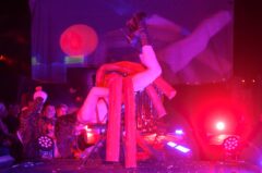 Photos by Michael Troutman (291/365)